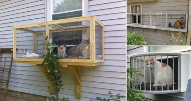 Screened Cat Porches are a great way to keep your kitty safe