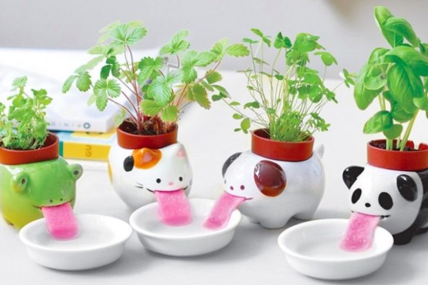 These Animal Planters Keep Themselves Hydrated By Drinking From Their Little Water Bowls