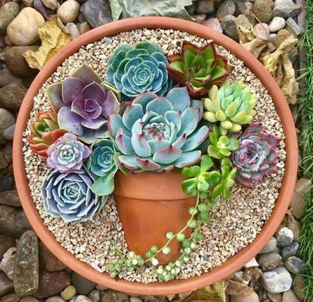 Awesome Ideas For a Small Garden Display
