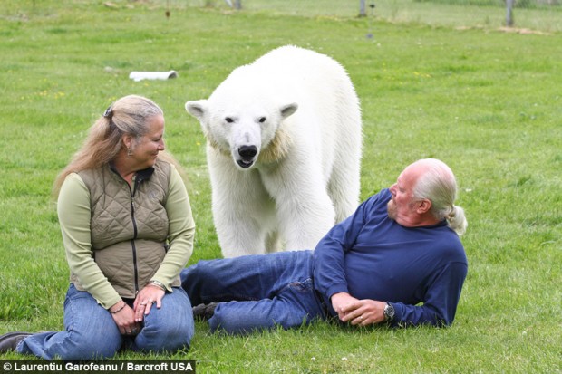 Meet the only man in the world who can swim with a polar bear