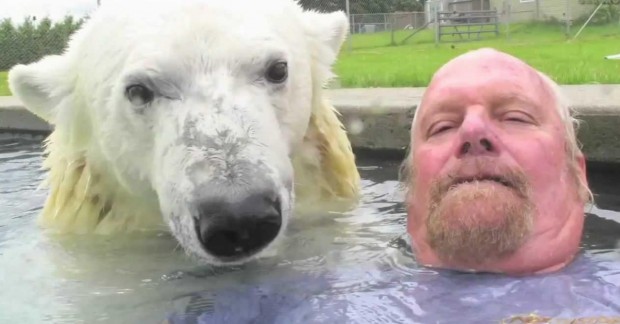 Meet the only man in the world who can swim with a polar bear