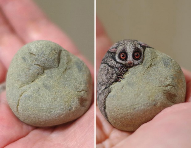 What a rock star! Self-taught Japanese artist creates realistic animal designs on pebbles - including an adorable hedgehog and a raccoon